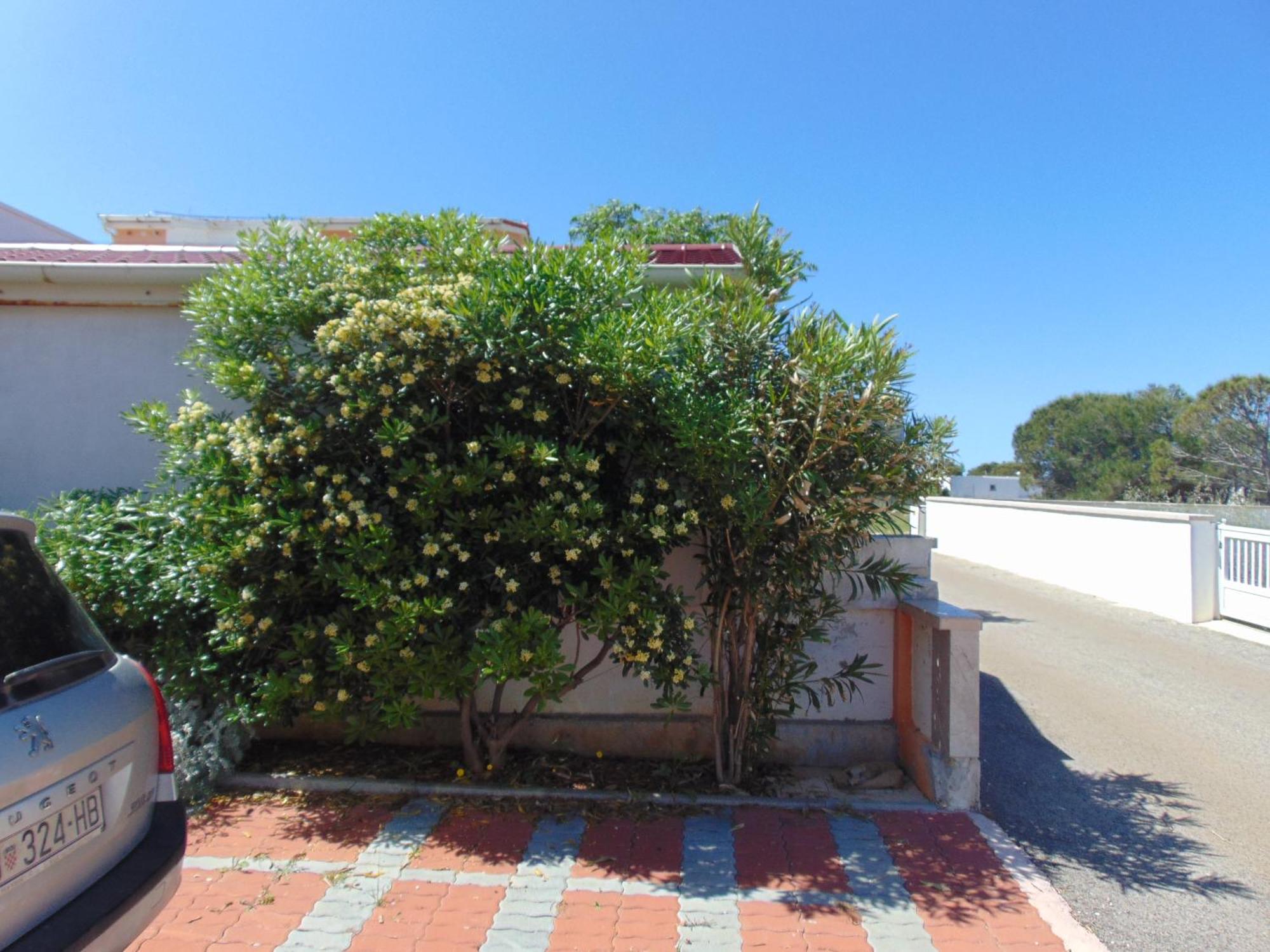 Apartman Ivana Vir Exterior foto